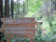 IMG_0684-茂德公草堂
