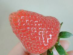 -海底捞火锅(万象城店)