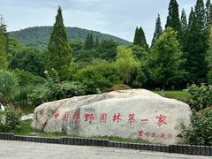 -习家池