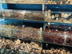-仙螺岛海鲜自助餐厅(总店)