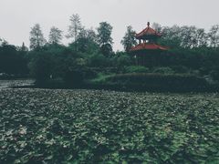 -四川大学(望江校区)