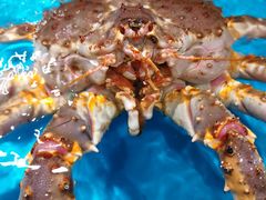-金成潮菜博物馆(海珠湿地店)