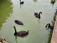 -无锡动物园·太湖欢乐园