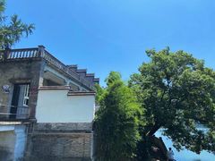 -溪口-滕头旅游景区