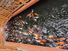 -侠成水上农庄(工业大道店)