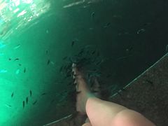 -宝丽金大酒店·洗浴中心