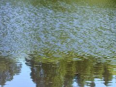 -范蠡湖公园
