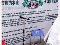 -大自然农场蔬菜草莓采摘园