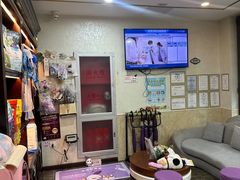 -宠爱国际动物医院·消化内科·心肾内科·ISFM猫友好(望京店)