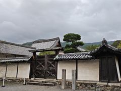 -醍醐寺