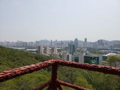-狐尾山公园