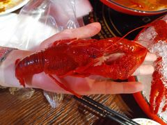 -虾弄弄海派小龙虾·牛羊蝎子火锅