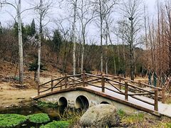 -白水寺森林公园