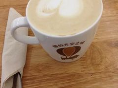 -猫的天空之城概念书店(西塘古镇店)