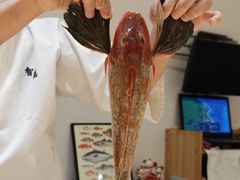 -镹·鱼料理  国产鱼使用店