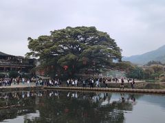 -福建土楼(南靖)景区
