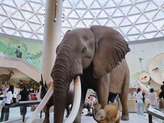 -陕西自然博物馆