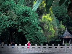 -深圳国际园林花卉博览园