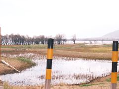 -大理洱海