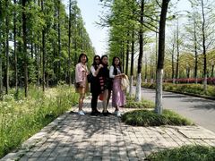 -上海长兴岛郊野公园