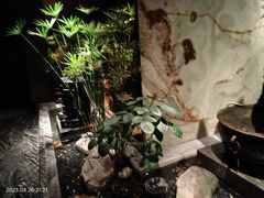 -南堂館川菜文化餐厅(天府店)