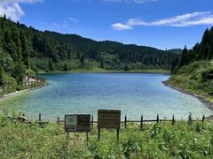 -武陵山森林公园