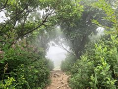 -阳台山自然风景区
