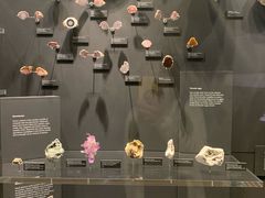 -墨尔本博物馆(Melbourne Museum)