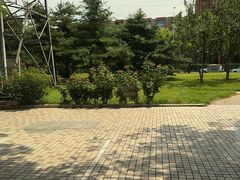 -玲珑塔公园
