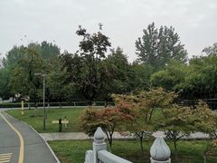 -西安浐灞国家湿地公园