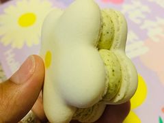 -好利来(槐中店)
