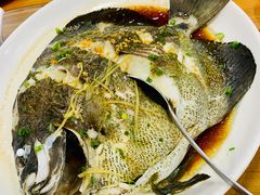 清蒸燕子鱼-蓝湾碧波·老字号·疍家非遗海上餐厅