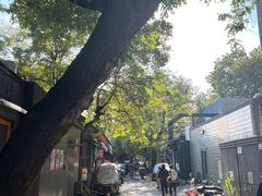-锅儿挑面馆
