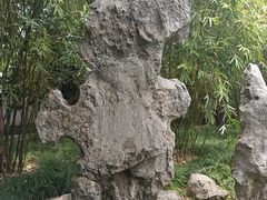 -上海醉白池公园