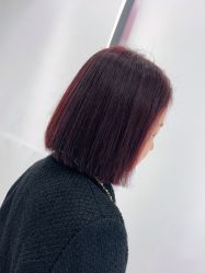 -镁连社·美联社