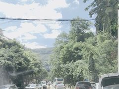 -西双版纳原始森林公园