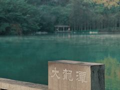 -深圳龙潭公园