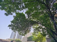 -正味斋锅巴菜(西北角店)