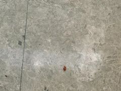 -宁波石浦大饭店(新材料城店)