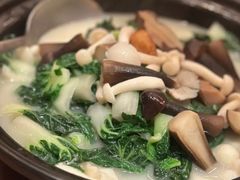 -广州富力君悦大酒店空中花园