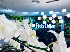 -Peet's Coffee皮爷咖啡(德基店)