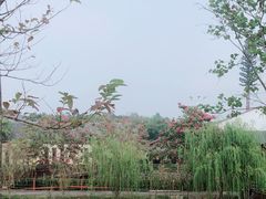 -合浦汉代文化博物馆