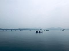 -西湖外事游船(湖滨二公园外事游船码头)