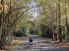 -上海海湾国家森林公园