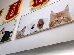 -爱侣宠医·鹦鹉专科·小型哺乳类·异宠专科(灵石路店)