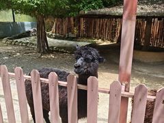 -泉州海丝野生动物世界