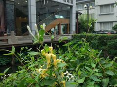-苏州冠云大酒店