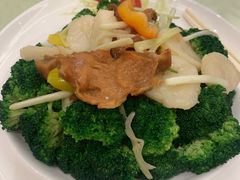 -金翠皇宫粤菜·点心·海鲜(科技园店)