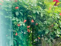 -瓦舍茶馆(聚源路店)