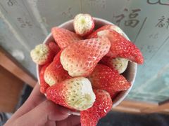 -胡家庙水果批发市场